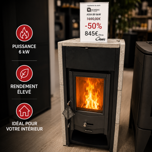 ASIA BII 6kW à BOIS